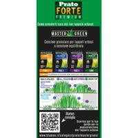 Blumen Prato Forte Premium 500 gr - Sementi Professionali Alta Resistenza - Tollera Calpestio e Siccità - Verde Intenso Tutto l'Anno - immagine 3