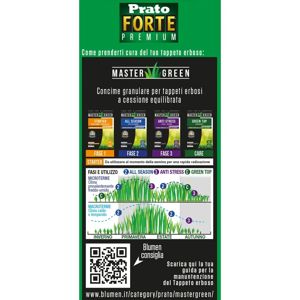 Blumen Prato Forte Premium 500 gr - Sementi Professionali Alta Resistenza - Tollera Calpestio e Siccità - Verde Intenso Tutto l'Anno - immagine 3