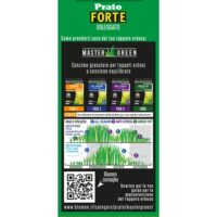 Blumen Prato Forte e Soleggiato - Sementi per Prato Resistente al Calpestio e Siccità - Ideale per Pieno Sole – 500 Gr - immagine 3
