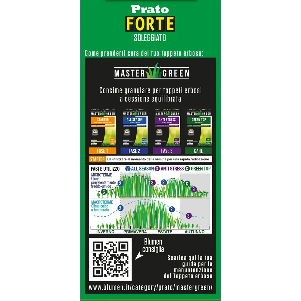 Blumen Prato Forte e Soleggiato - Sementi per Prato Resistente al Calpestio e Siccità - Ideale per Pieno Sole – 500 Gr - immagine 3