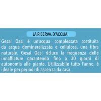 Gesal Oasi Riserva d'Acqua | Idratante per piante in vaso, Rilascio graduale, Ideale per vacanze, Benessere garantito - immagine 3